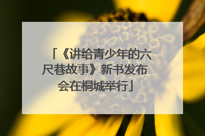 《讲给青少年的六尺巷故事》新书发布会在桐城举行