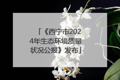 《西宁市2024年生态环境质量状况公报》发布