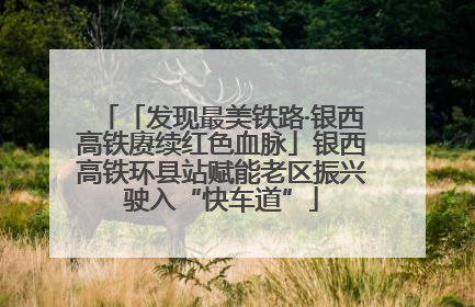 「发现最美铁路·银西高铁赓续红色血脉」银西高铁环县站赋能老区振兴驶入“快车道”