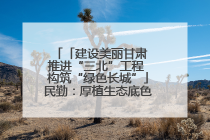 「建设美丽甘肃 推进“三北”工程 构筑“绿色长城”」民勤：厚植生态底色 筑牢绿色屏障