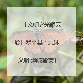 「文明之光耀云岭」罗平县：共沐文明 满城皆美