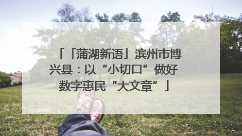 「蒲湖新语」滨州市博兴县：以“小切口”做好数字惠民“大文章”