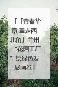 「青春华章·重走西北角」兰州“花园工厂”绘绿色发展画卷