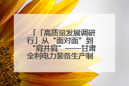 「高质量发展调研行」从“面对面”到“肩并肩”——甘肃全利电力装备生产制造项目一线见闻