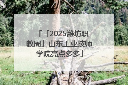 「2025潍坊职教周」山东工业技师学院亮点多多