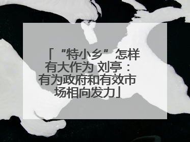 “特小乡”怎样有大作为 刘亭：有为政府和有效市场相向发力