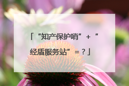 “知产保护哨”+“经盾服务站”=？