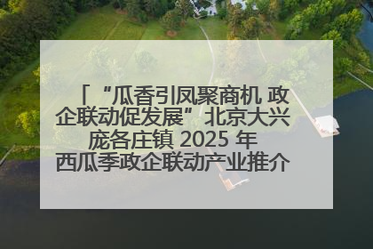 “瓜香引凤聚商机 政企联动促发展”北京大兴庞各庄镇 2025 年西瓜季政企联动产业推介活动圆满举行