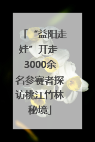 “益阳走娃”开走 3000余名参赛者探访桃江竹林秘境
