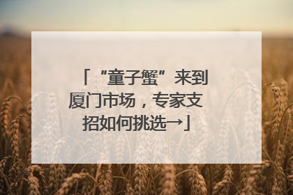“童子蟹”来到厦门市场，专家支招如何挑选→