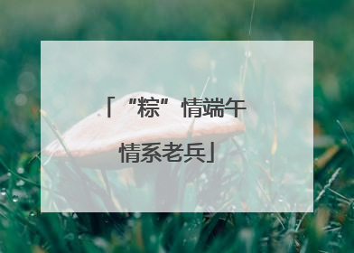 “粽”情端午 情系老兵