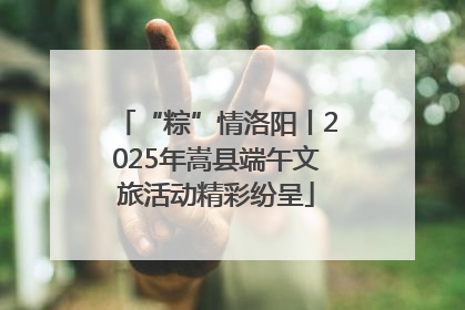 “粽”情洛阳丨2025年嵩县端午文旅活动精彩纷呈