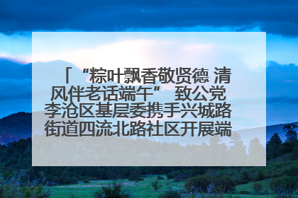 “粽叶飘香敬贤德 清风伴老话端午” 致公党李沧区基层委携手兴城路街道四流北路社区开展端午节主题活动