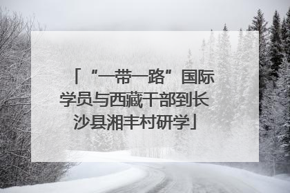 “一带一路”国际学员与西藏干部到长沙县湘丰村研学