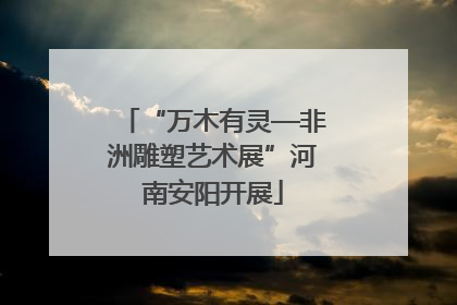 “万木有灵—非洲雕塑艺术展”河南安阳开展