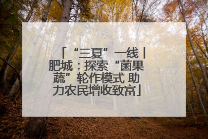 “三夏”一线丨肥城：探索“菌果蔬”轮作模式 助力农民增收致富