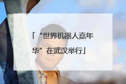 “世界机器人嘉年华”在武汉举行