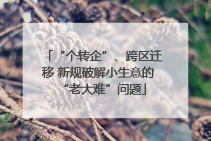 “个转企”、跨区迁移 新规破解小生意的“老大难”问题