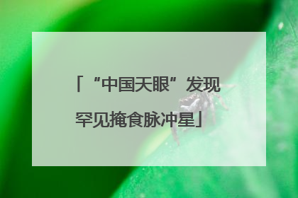 “中国天眼”发现罕见掩食脉冲星