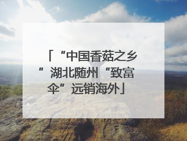 “中国香菇之乡”湖北随州“致富伞”远销海外