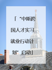 “中斯跨国人才实习就业行动计划”启动