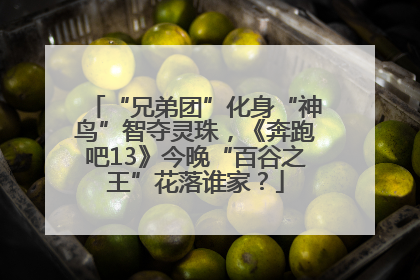 “兄弟团”化身“神鸟”智夺灵珠，《奔跑吧13》今晚“百谷之王”花落谁家？