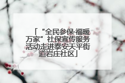 “全民参保·福暖万家”社保宣传服务活动走进泰安天平街道岩庄社区