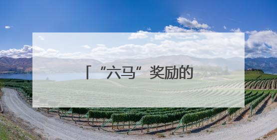 “六马”奖励的这条“腿”，风味比奖牌还厚重