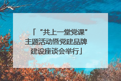 “共上一堂党课”主题活动暨党建品牌建设座谈会举行