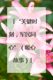 “关键时刻，军民同心”（暖心故事）
