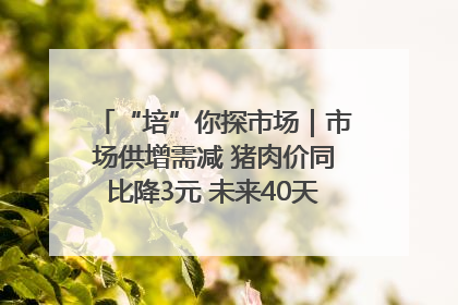 “培”你探市场｜市场供增需减 猪肉价同比降3元 未来40天便宜猪肉敞开吃