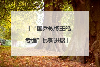“国乒教练王皓考编”最新进展