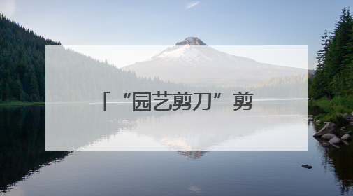 “园艺剪刀”剪出幸福枝桠，先贤苑片区工会小组携手扮靓家园