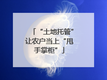 “土地托管”让农户当上“甩手掌柜”