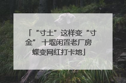 “寸土”这样变“寸金” 十堰闲置老厂房蝶变网红打卡地