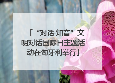 “对话·知音”文明对话国际日主题活动在匈牙利举行