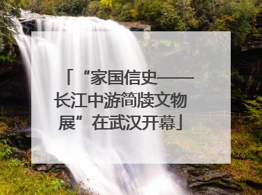 “家国信史——长江中游简牍文物展”在武汉开幕