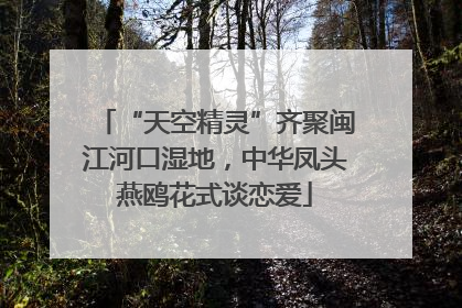 “天空精灵”齐聚闽江河口湿地，中华凤头燕鸥花式谈恋爱