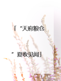 “天府粮仓”夏收见闻