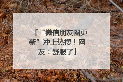 “微信朋友圈更新”冲上热搜！网友：舒服了