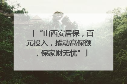 “山西安居保，百元投入，撬动高保额，保家财无忧”