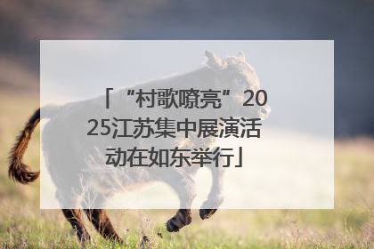 “村歌嘹亮”2025江苏集中展演活动在如东举行
