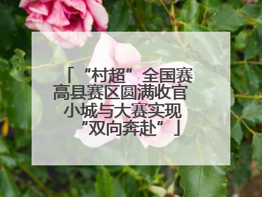 “村超”全国赛高县赛区圆满收官 小城与大赛实现“双向奔赴”