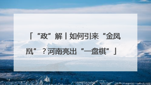 “政”解丨如何引来“金凤凰”？河南亮出“一盘棋”