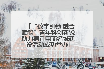 “数字引领 融合赋能”青年科创新锐助力宿迁电商名城建设活动成功举办