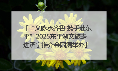 “文脉承齐鲁 携手赴东平”2025东平湖文旅走进济宁推介会圆满举办