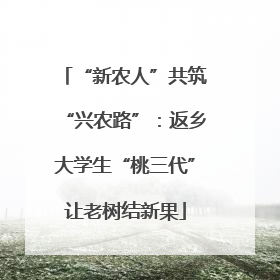 “新农人”共筑“兴农路”：返乡大学生“桃三代”让老树结新果