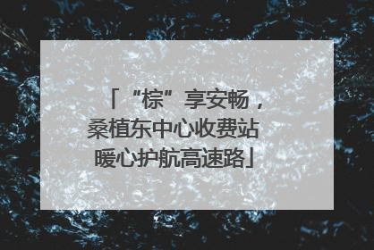 “棕”享安畅，桑植东中心收费站暖心护航高速路