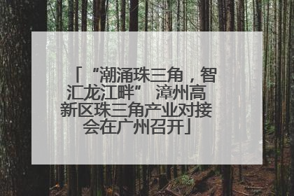 “潮涌珠三角，智汇龙江畔” 漳州高新区珠三角产业对接会在广州召开