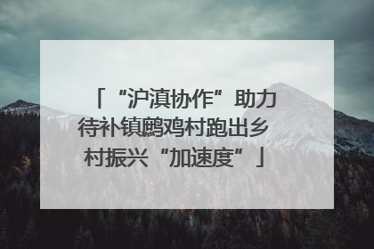“沪滇协作”助力待补镇鹧鸡村跑出乡村振兴“加速度”